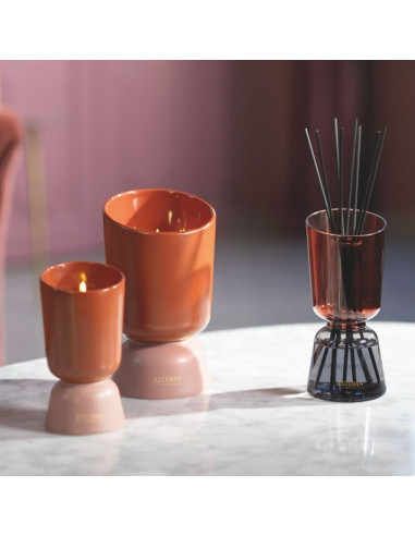 ICONIC COLOR - bytový parfém Teck&Tonka, vonná...