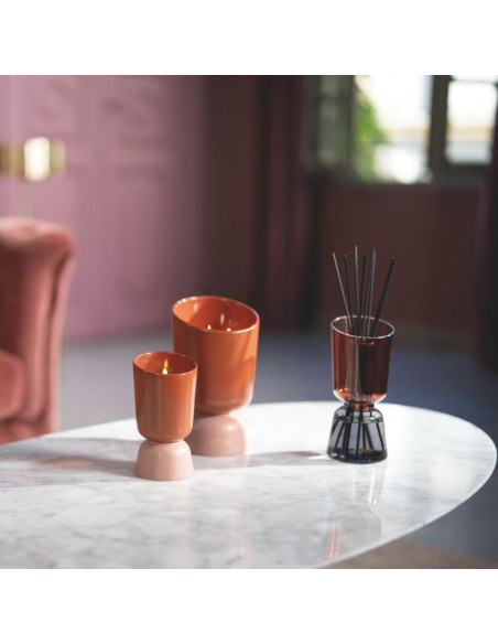 ICONIC COLOR - bytový parfém Teck&Tonka, vonná svíčka 220g | ESTEBAN