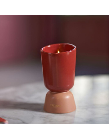 ICONIC COLOR - bytový parfém Teck&Tonka, vonná...