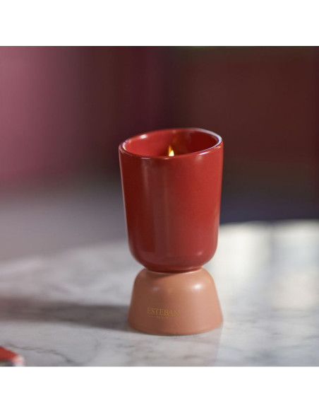 ICONIC COLOR - bytový parfém Teck&Tonka, vonná svíčka 220g | ESTEBAN