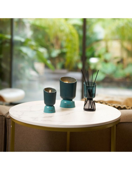 ICONIC COLOR - bytový parfém Figue Noire, vonná svíčka 220g | ESTEBAN