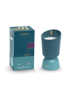 ICONIC COLOR - bytový parfém Figue Noire, vonná svíčka 220g | ESTEBAN - 1