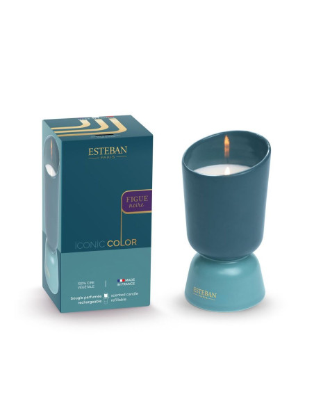 ICONIC COLOR - bytový parfém Figue Noire, vonná svíčka 220g | ESTEBAN
