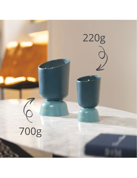 ICONIC COLOR - bytový parfém Figue Noire, vonná svíčka 220g | ESTEBAN