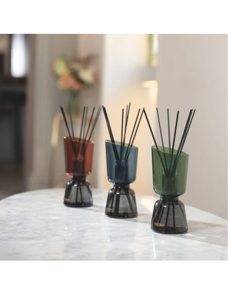 ICONIC COLOR bytový parfém Teck&Tonka, tyčinkový difuzér | ESTEBAN - 5