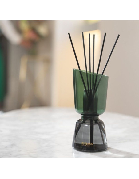 ICONIC COLOR bytový parfém Neroli, tyčinkový difuzér | ESTEBAN - 3