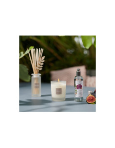 Bytový parfém Garrigue Fig tree, vonný olej | ESTEBAN 2