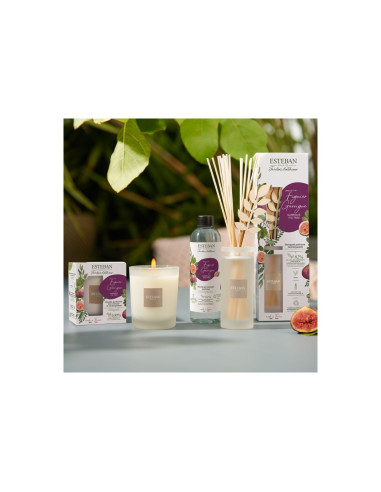 Bytový parfém Garrigue Fig tree, vonný olej | ESTEBAN - 3