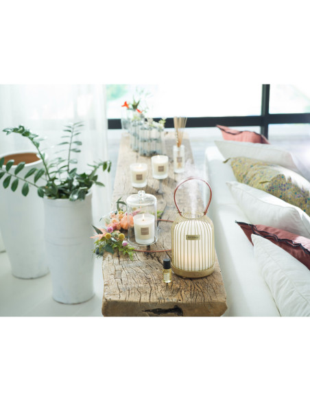 Bytový parfém Garrigue Fig tree, vonný olej | ESTEBAN - 5