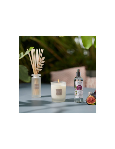 Bytový parfém Garrigue Fig tree, tyčinkový difuzér 100ml | ESTEBAN