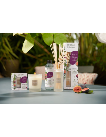 Bytový parfém Garrigue Fig tree, tyčinkový difuzér 100ml | ESTEBAN