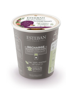 copy of Bytový parfém Garrigue Fig tree, tyčinkový difuzér 100ml | ESTEBAN - 1