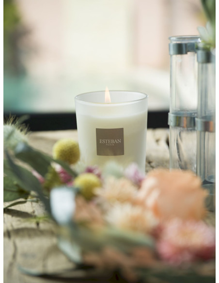 Bytový parfém Garrigue Fig tree, náplň pro svíčku 180g | ESTEBAN