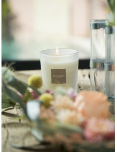 Bytový parfém Garrigue Fig tree, vonná svíčka 180g | ESTEBAN - 1 2