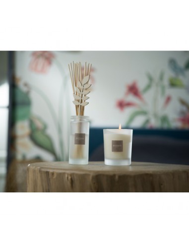 Home perfume White cotton, refill 250ml | ESTEBAN - 3