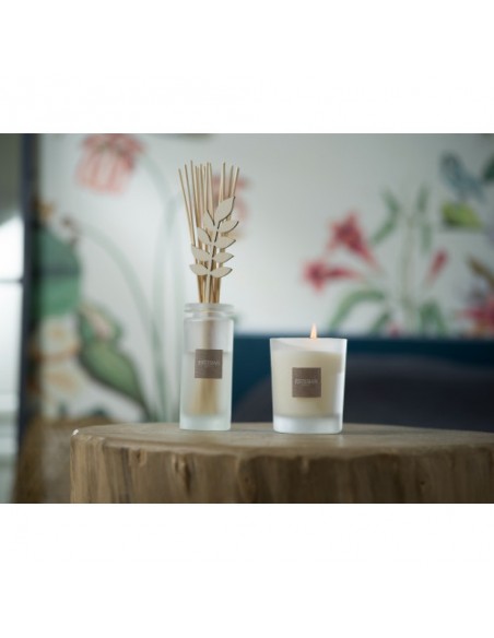 Home perfume White cotton, refill 250ml | ESTEBAN - 3