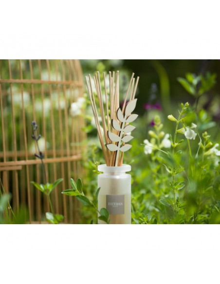 Home perfume White cotton, refill 250ml | ESTEBAN - 4