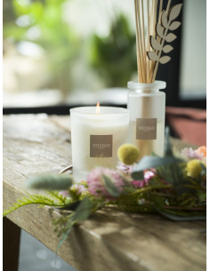 Home perfume White cotton, refill for difuzer 500ml | ESTEBAN - 1 2