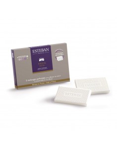 Náhradní náplň pro difuzér do auta Figue Noire | ESTEBAN-1