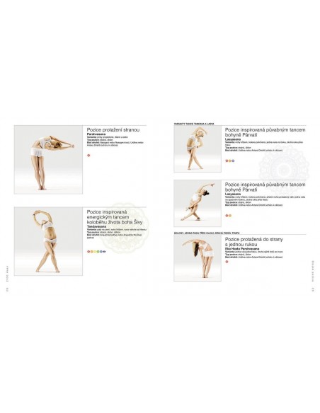 2100 ÁSAN. Kompletní jógové pozice-2