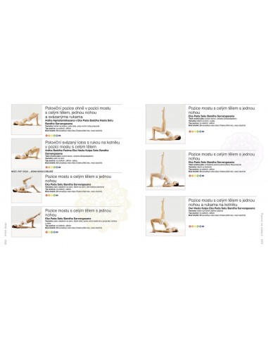 2100 ÁSAN. Kompletní jógové pozice-4