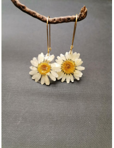 Náušnice s pravým květem sedmikrásky | PIOU PIOU - 1