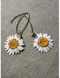 Náušnice s pravým květem sedmikrásky | PIOU PIOU 2