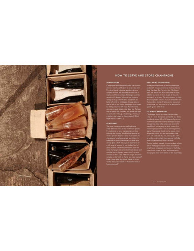 Champagne: The Definitive Guide to the Wines,...