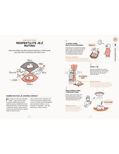 Po čem kočky touží | SLOVART