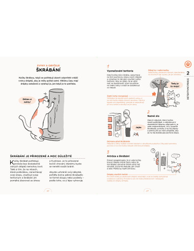 Po čem kočky touží | SLOVART