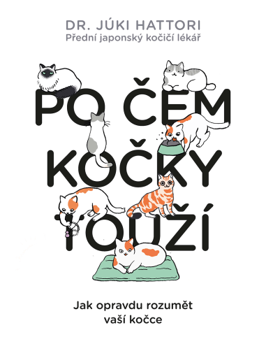 Po čem kočky touží