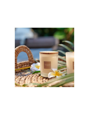 Bytový parfém Citronnelle & Menthe - vonná svíčka | ESTEBAN