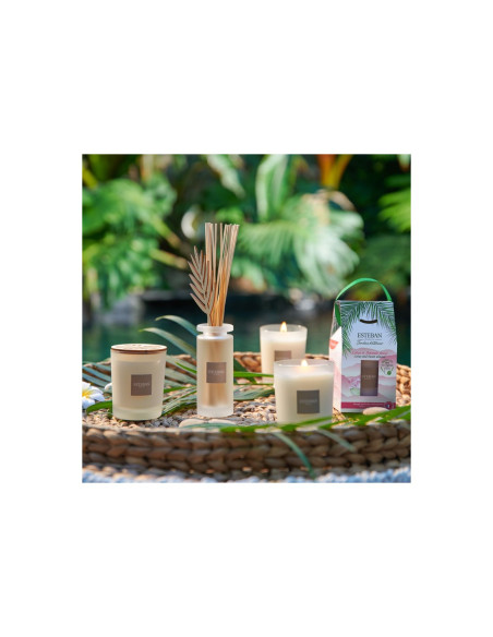 Bytový parfém Citronnelle & Menthe - vonná svíčka | ESTEBAN