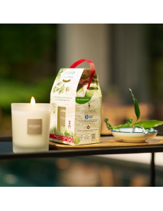 Bytový parfém Citronnelle & Menthe´25 - vonná svíčka | ESTEBAN 2