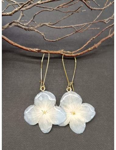 Náušnice s pravým květem hortenzie | PIOU PIOU b