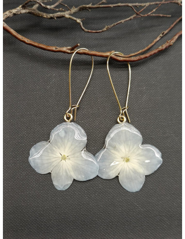 Náušnice s pravým květem hortenzie | PIOU PIOU