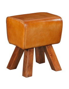 Stolička s koženým čalouněním – „Koza“ | dovoz Indie