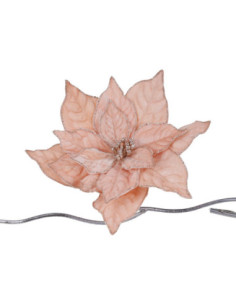 Vánoční dekorace – světle růžový květ vánoční hvězdy na...