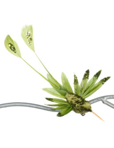 Vánoční dekorace – zelený kolibřík s peříčky, na klipu |...