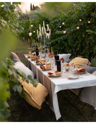 Set lněného ubrusu 160x230 a ubrousků Tiziano, krémový | TESSITURA TOSCANA TELERIE b