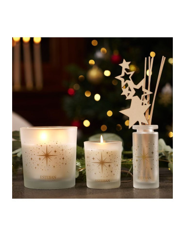 Vánoční vonná svíčka Baies et Fleur d´Hiver | Esteban a