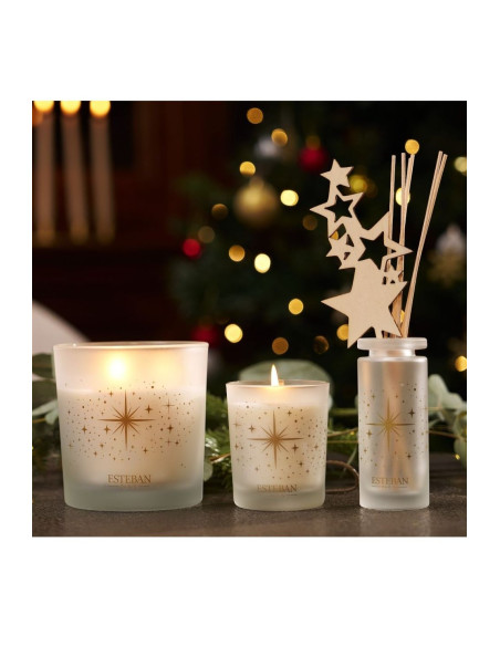 Vánoční vonná svíčka Baies et Fleur d´Hiver | Esteban a