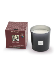 Bytový parfém Teck&Tonka, vonná svíčka Grand  | ESTEBAN