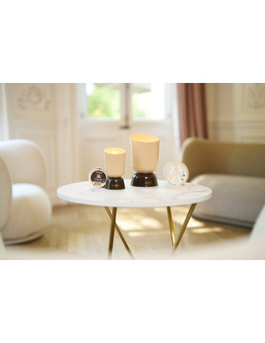 ICONIC COLOR home fragrance Cedr, scented candle 700g | ESTEBAN - 4