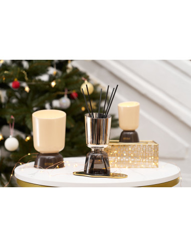 ICONIC COLOR home fragrance Cedr, scented candle 700g | ESTEBAN - 5