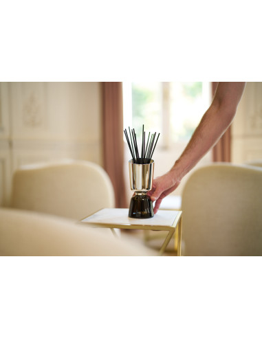 ICONIC COLOR bytový parfém Cedr, tyčinkový difuzér | ESTEBAN c