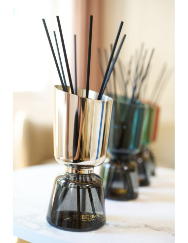 ICONIC COLOR bytový parfém Cedr, tyčinkový difuzér | ESTEBAN a