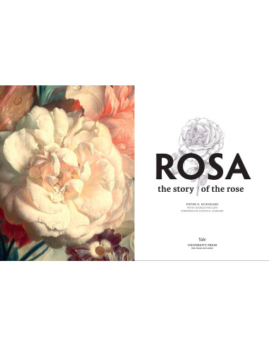 Rosa: The Story of the Rose | THE YALE UNIVERSITY PRESS a