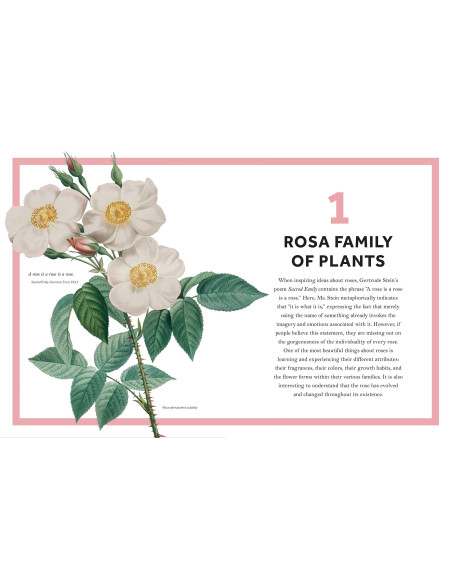 Rosa: The Story of the Rose | THE YALE UNIVERSITY PRESS b