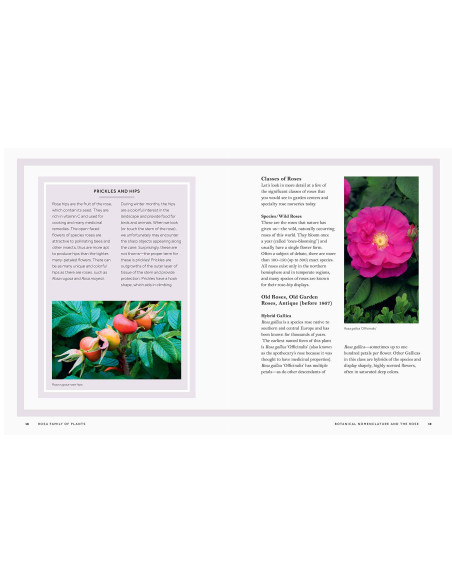 Rosa: The Story of the Rose | THE YALE UNIVERSITY PRESS c